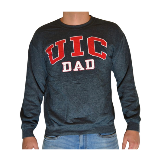 Pull UIC pour papa